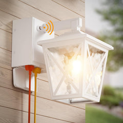 Ehaho EH-BD03 Porch Lights with GFCI Outlet