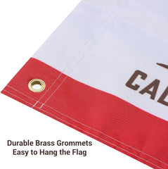 Ehaho 2PCS California Flags for Whip Lights